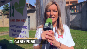Biella Colors School - Carmen Primo
